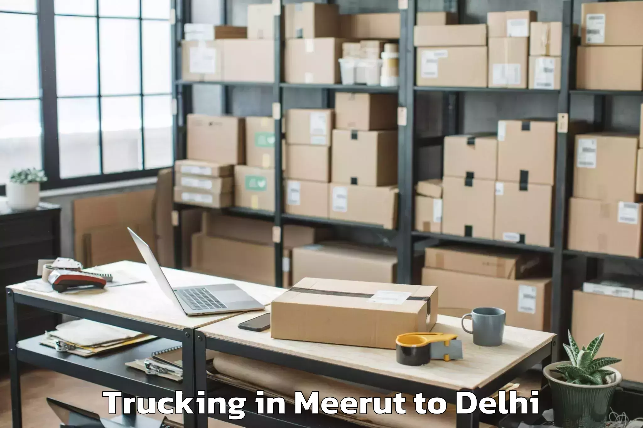 Top Meerut to D Mall Rohini Trucking Available